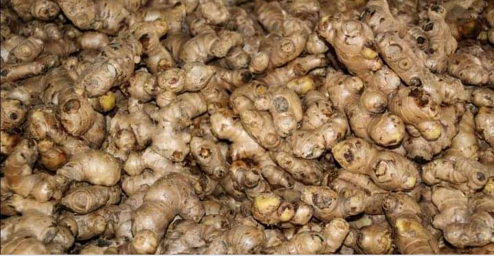 अदुवा बिक्री नहुँदा डोटीका किसान चिन्तामा