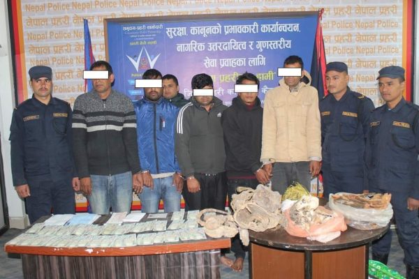 धनढीबाट नक्कली नोट, बाघको हड्डी र जडीबुटीसहित ५ जना पक्राउ
