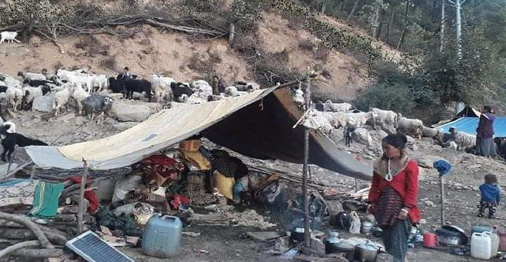 जाडो छल्न भेडा लिएर डोटीतिर