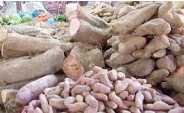 माघे संक्रान्तिको महत्व