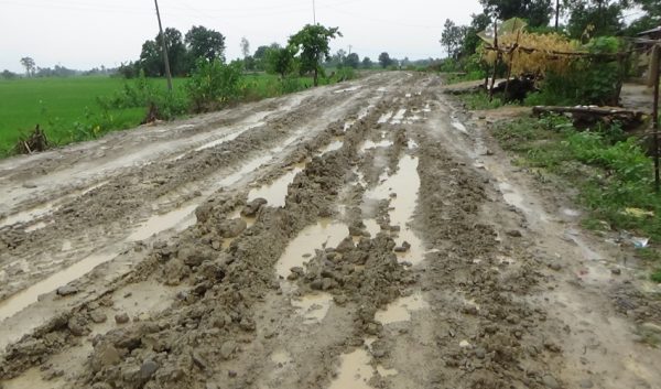 कैलालीको हसुलिया–मसुरिया सडक निर्माण दुई वर्षदेखि अलपत्र