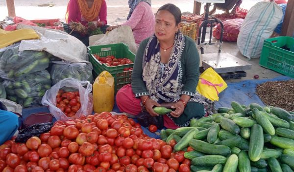 डोटीकि एक पुर्ब उपाध्यक्ष धनगढीमा तरकारी बेच्दै