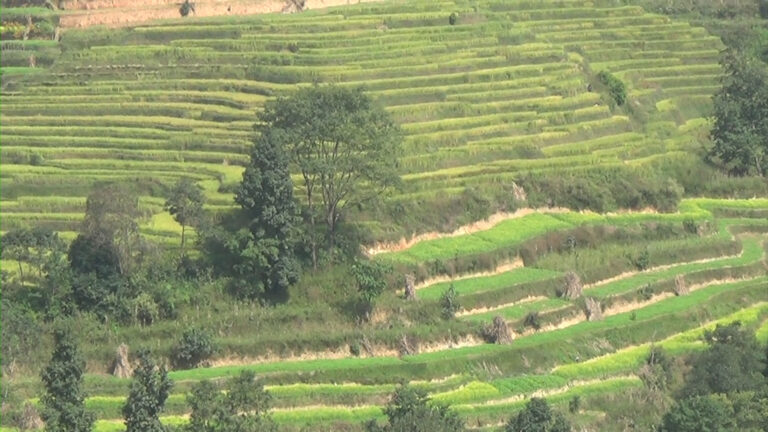 डोटीमा २सय ५३ सिचाई योजना निर्माण हुदै