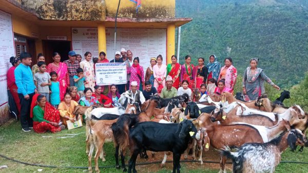 बाख्रापालक लघु उद्यमीहरुलाई बाख्रा बितरण