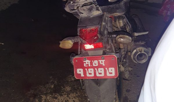 धनगढीमा गाईसँग मोटसाइकल ठोकियो