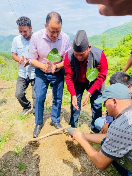 ने वि संघ डोटीद्वारा बृक्षारोपण