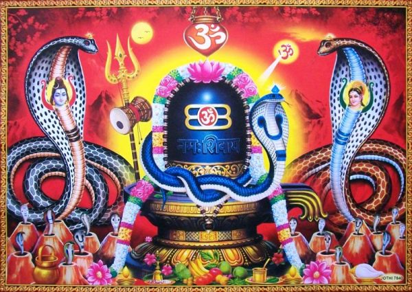 आज नागञ्चमी, नागको पूजा आरधना गरी नागञ्चमी पर्व बनाइँदै