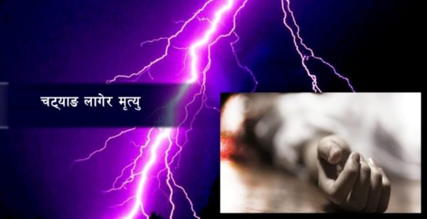 चट्याङ लागेर बाजुरामा बालिकाको मृत्यु, दुई भैंसी र एक गोरुसमेत मरे