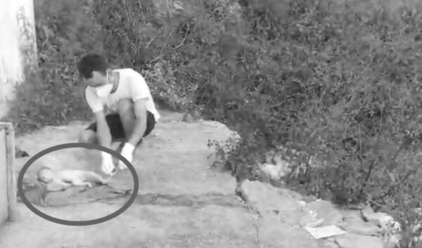 डोटीमा एक शिशुको शव फेला