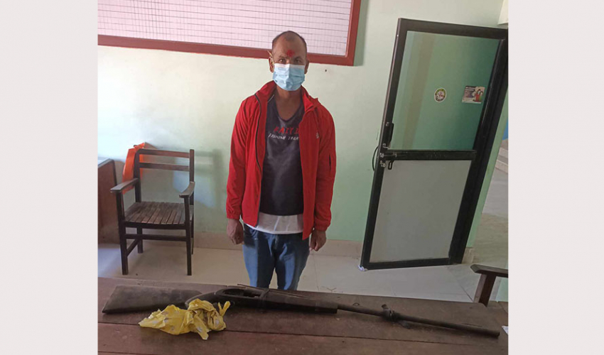 धनगढीमा भरुवा बन्दुकसहित एक जना पक्राउ