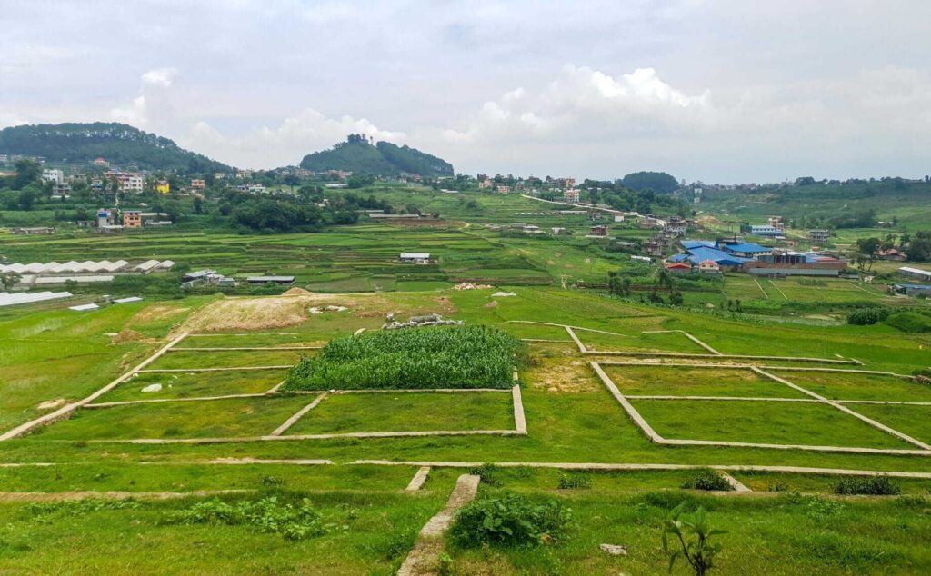 लाइसेन्स नलिई घरजग्गा कारोबार गरे २५ लाख जरिमाना र ६ महिना कैद