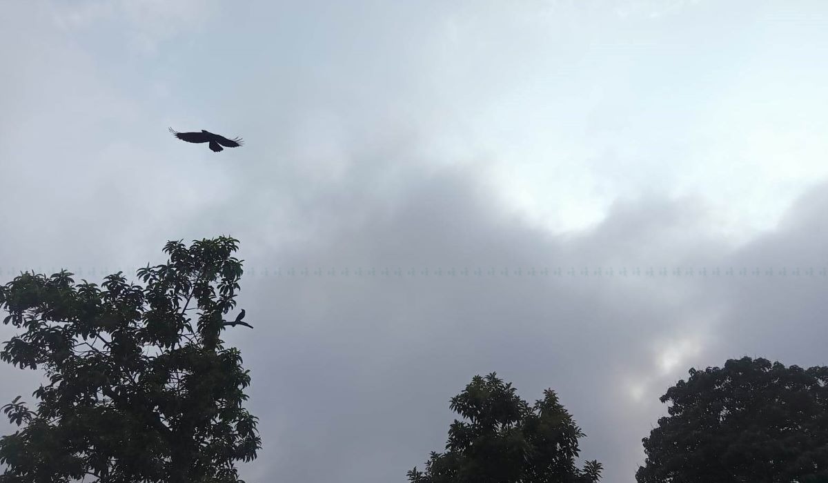 यस्तो छ आजको मौसम