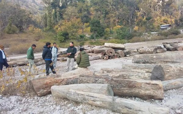 स्थानीयले नियन्त्रण लिएको ५ ट्रक काठको छानबिन गर्न समिति गठन