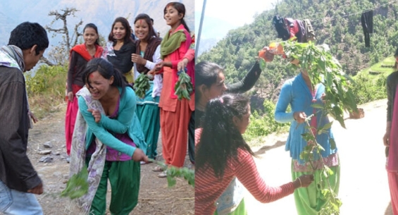 सुदूरपश्चिममा नयाँ वर्षसँगै आज सिस्नो खेलेर ‘बिसु’ पर्व मनाइँदै