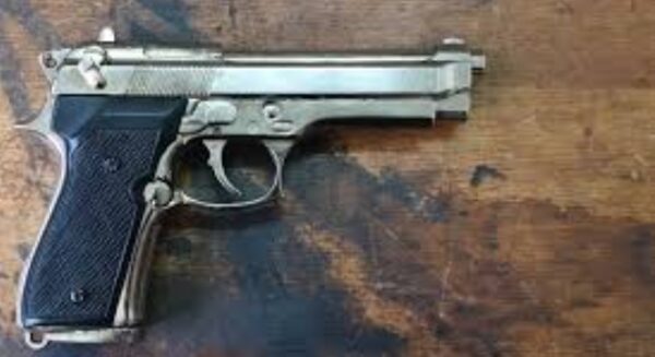 ड्युटीमा रहेका प्रहरीकै पेस्तोल हरायो