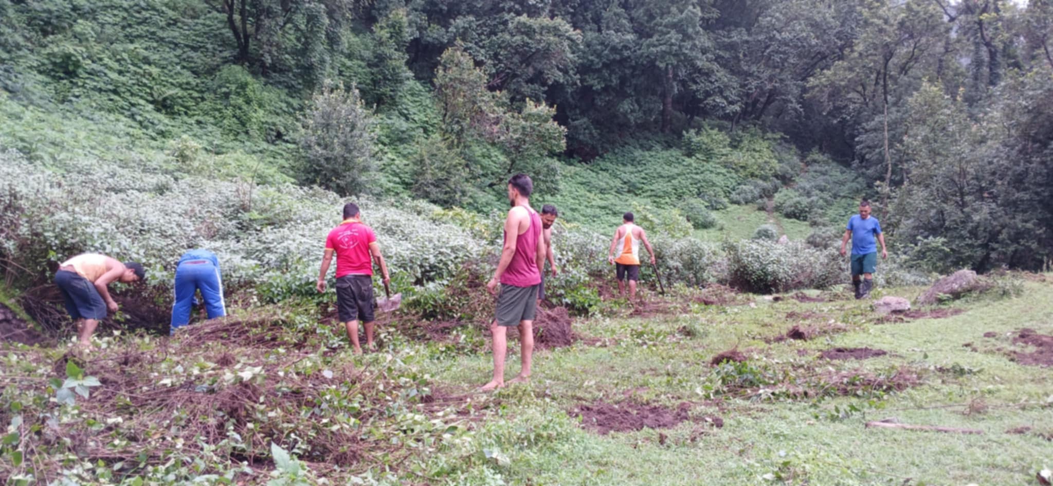 नेपाल कम्युनिस्ट पार्टी द्वारा बडीकेदारमा सुन्तला लगाइयो