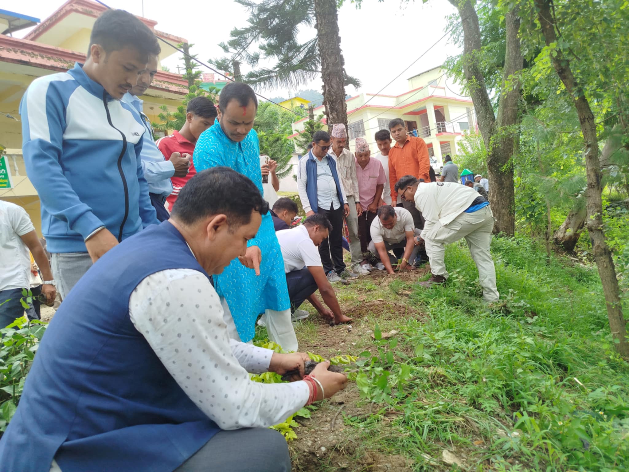 बिपी स्मृति दिवसको अवसरमा नेपाली काँग्रेस डोटी द्वारा वृक्षारोपण