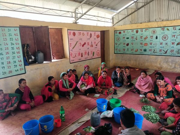 डोटी का दुइ पालिकाका ३ सय ४० जनलाइ प्राकृतिक खेती प्रणाली तालिम प्रदान