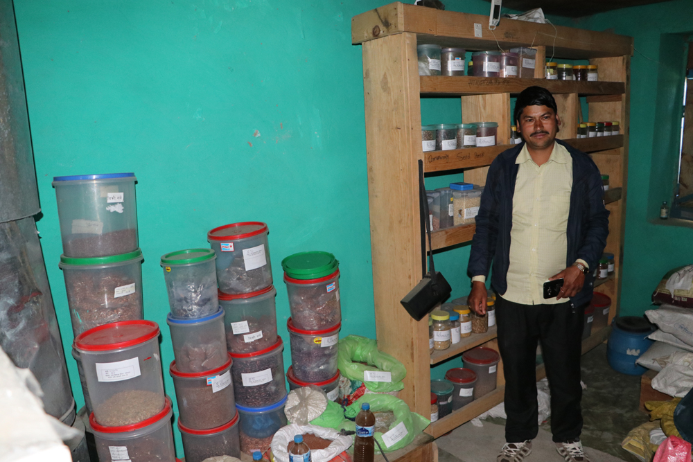 स्थानीय हावापानी अनुकुलका रैथाने बीउ जोगाउदै किसान